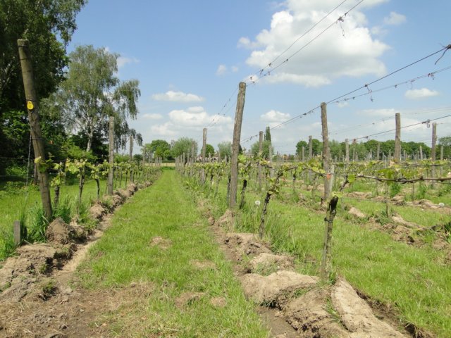HWK 2012 301.jpg